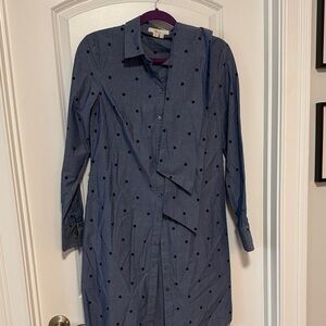 Women’s Blue Polka Dot Button Dress
